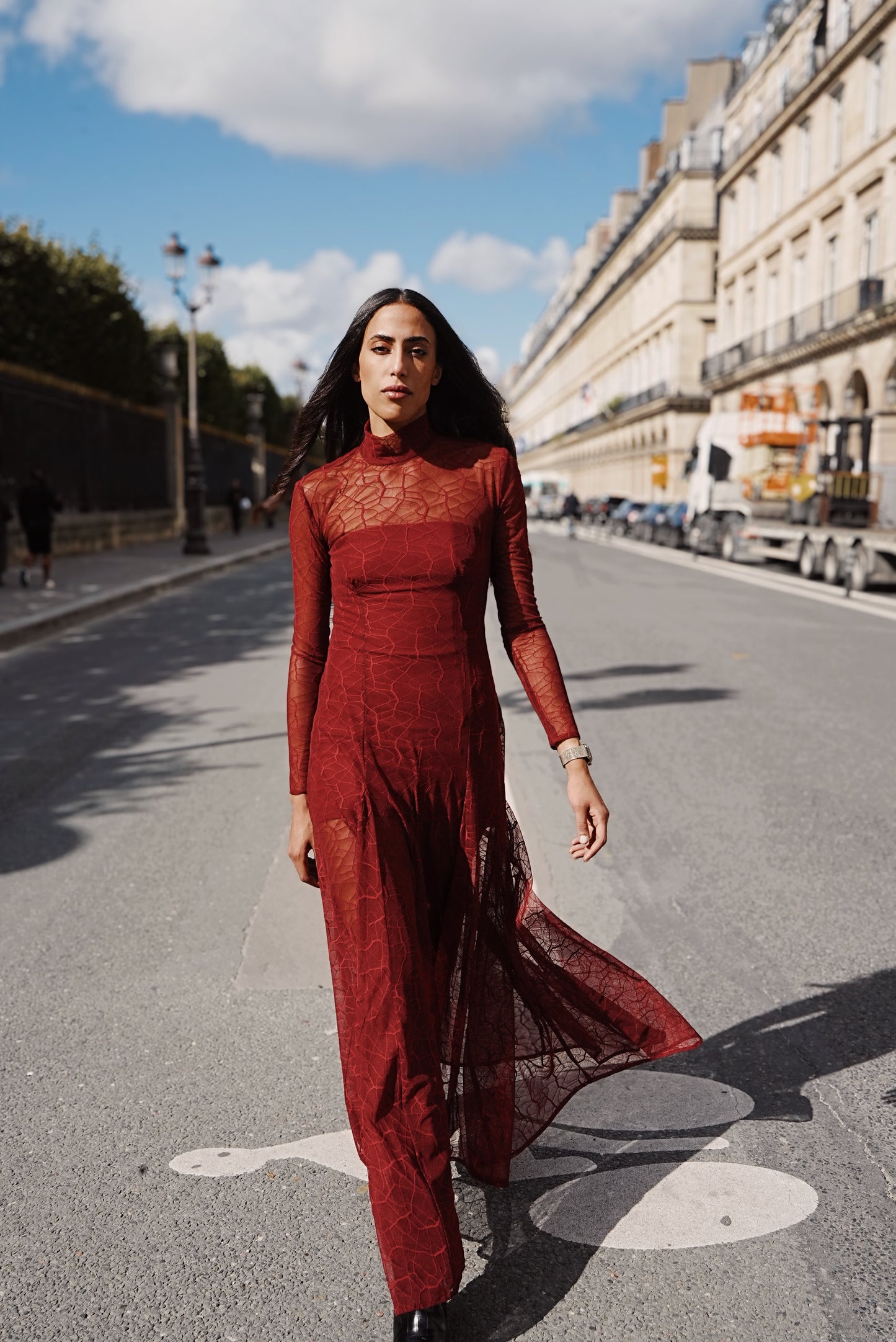 Scarlet Dress